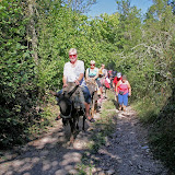 IMG_4397.JPG