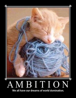 ambition