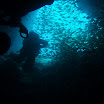 P4160096.JPG