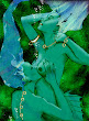 Erotic Mermaid