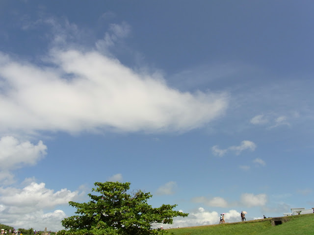 RIMG0150.JPG