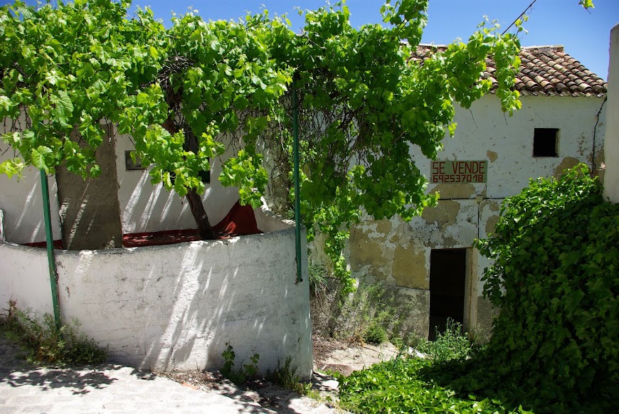 IMGP3012.JPG