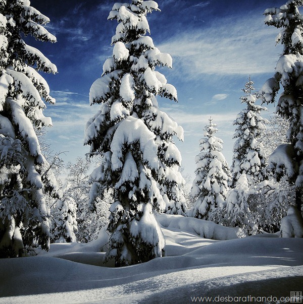 paisagens-de-inverno-winter-landscapes-desbaratinando (11) paisagens-de-inverno-winter-landscapes-desbaratinando (11)