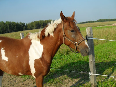 SDC15849.JPG