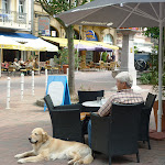 Автор Alena Malinka _Настоящие друзья, г.jpg