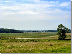 View of the Battlefield from the Peace Memorial
