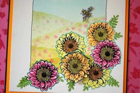 [JulieIMGP9760rs%255B2%255D.jpg]