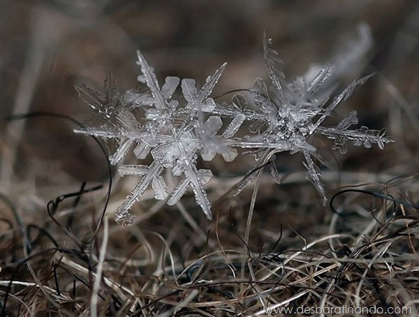 flocos-de-neve-macro-snowflakes-macro-photography-andrew-osokin-desbaratinando (3)