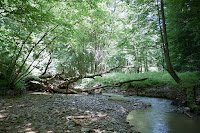 IMG_0342.jpg Photo