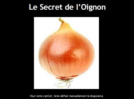 [secret-oignon%255B2%255D.jpg]
