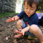 くれよん京都 5月029.jpg
