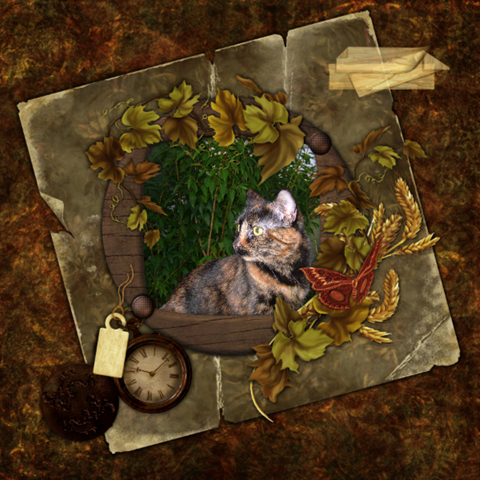 [61661873b3.png]