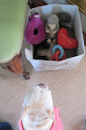 Let's remove all of the toys and get to the bottom of this!