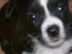 Immagine 012.jpg