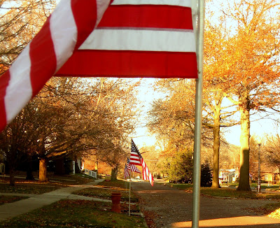 American flags line the Washington Boulevard for Veterans Day