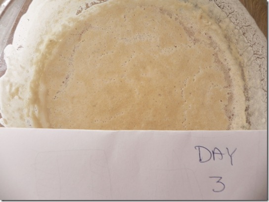 sourdough-starter-2 sourdough-starter-2