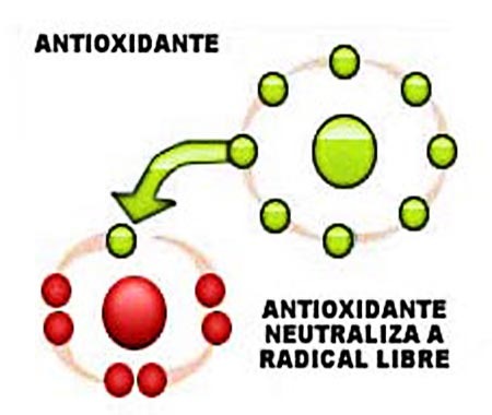 [antioxidante%255B3%255D.jpg]