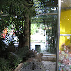 IMG_2754.JPG