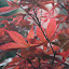 SH_Expo_0014.JPG