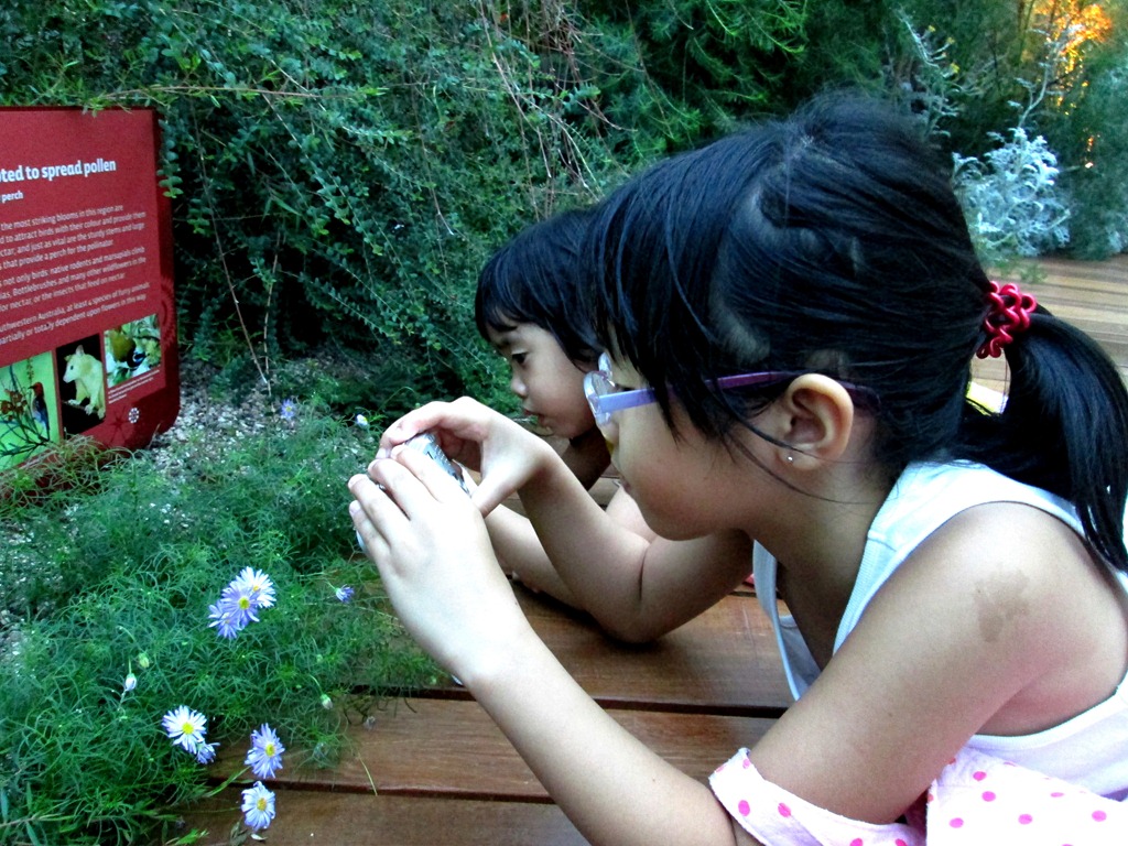 [IMG_1605%255B2%255D.jpg]