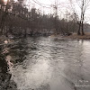 dsc06216.jpg