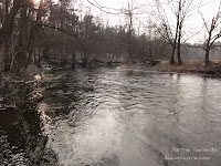 rz. Wełna