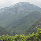DSC_6004.jpg