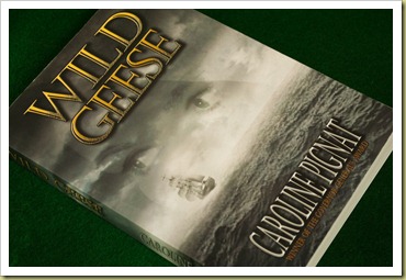 Wild Geese2