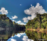 Iquitos Amazon Basin Iquitos Amazon Basin