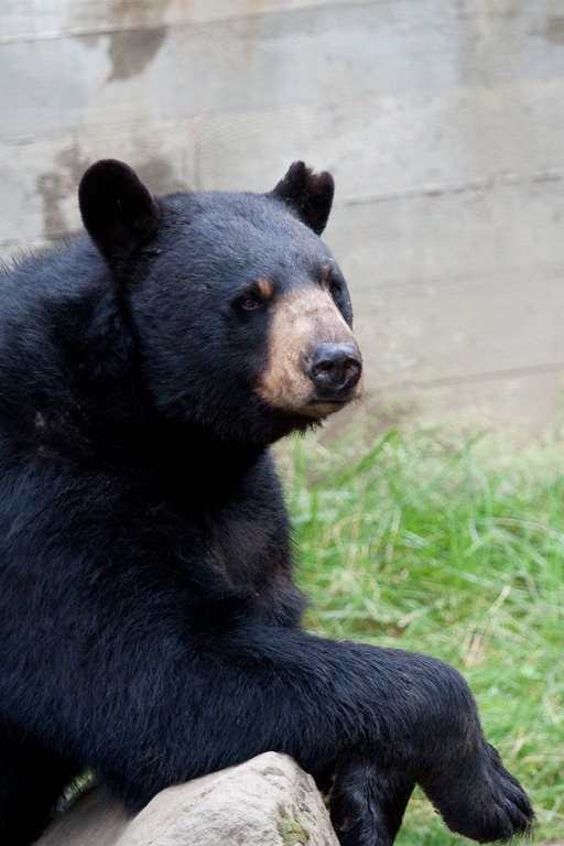 [20120716-IMG_6467-47.jpg]