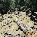 DSCN8293.JPG