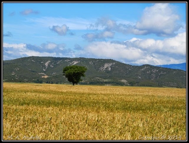 bttfoz 133 bttfoz 133
