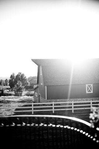 lex&brian-weddingday-1043