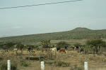 IMG_6400.JPG