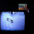 CIMG0462.JPG