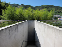 IMG_2639.JPG