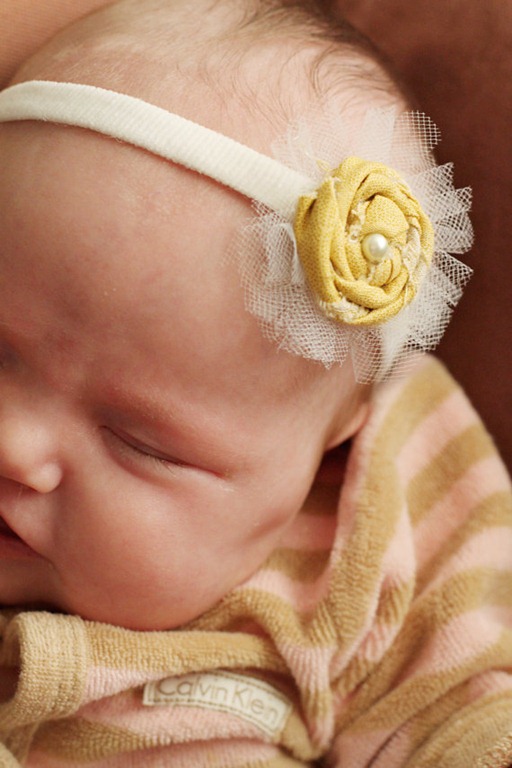 [rosette%2520headband%255B5%255D.jpg]