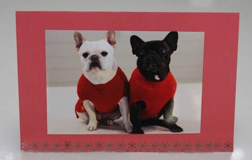 Wow, doesn't it look great?  Come on, Sharkey!  Let's run and give this to Martha!  She'll be so proud of her little Frenchies!