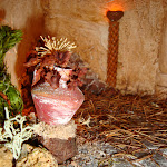 1483-4.JPG