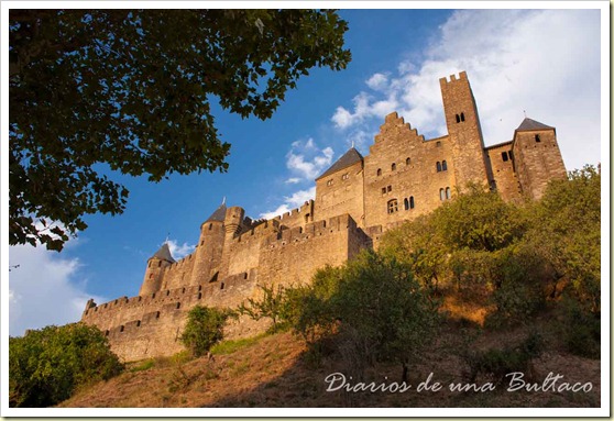 Carcassonne-29
