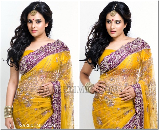 Divya_Spandana_Embrpoidery_Shimmer_Saree