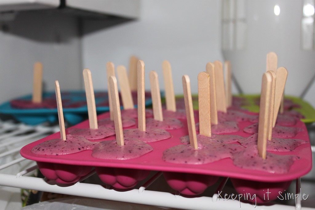 [frozen-smoothie-pops-48.jpg]