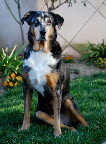 Zelda, Queen of the neighborhood Zelda, Queen of the neighborhood