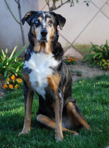 Zelda, Queen of the neighborhood Zelda, Queen of the neighborhood