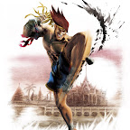 Super_Street_Fighter_IV_Art_Adon_1.jpg