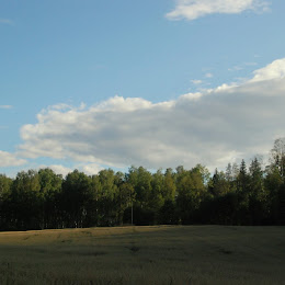 DSC_0028.JPG DSC_0028.JPG