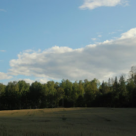 DSC_0028.JPG