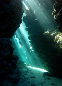 water1
