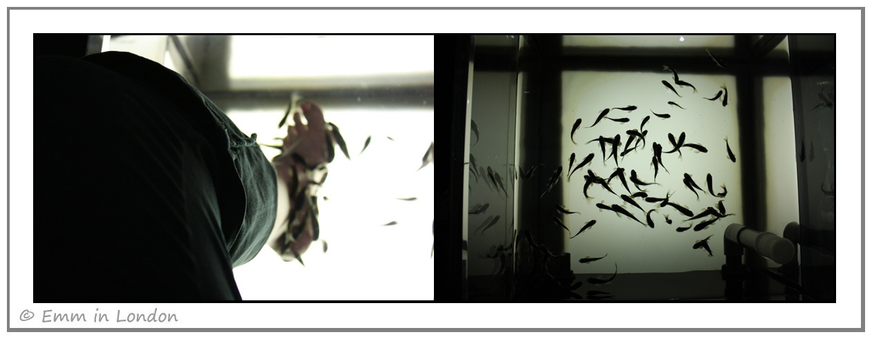 [Fish-Therapy-at-Aqua-Sheko-Salon-Soh.jpg]
