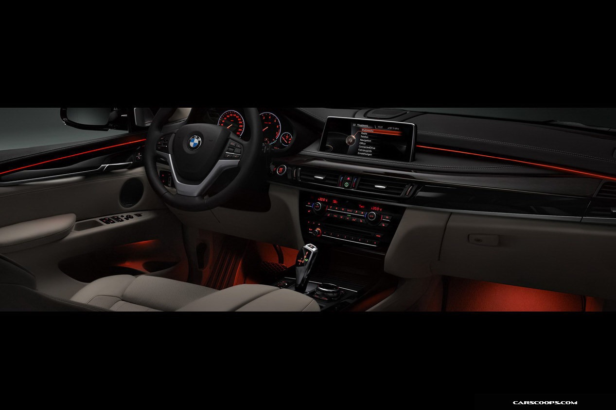 [2014-BMW-X5-212.jpg]
